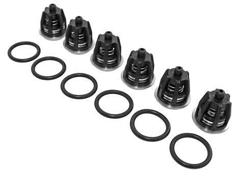 General Pump K01 Check Valves Kit for CW47, T, TT, and TP51 Series Pumps