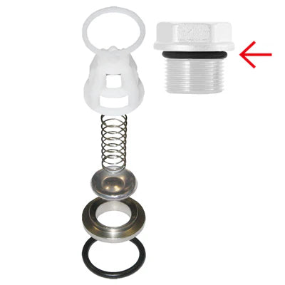 Comet 5025.0020 Valve Kit